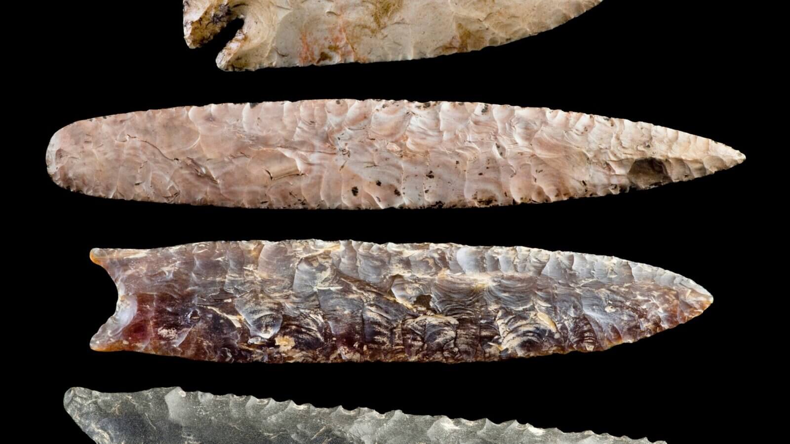Najslávnejšia zbraň praveku možno neexistovala. Čím sa teda lovili mamuty?