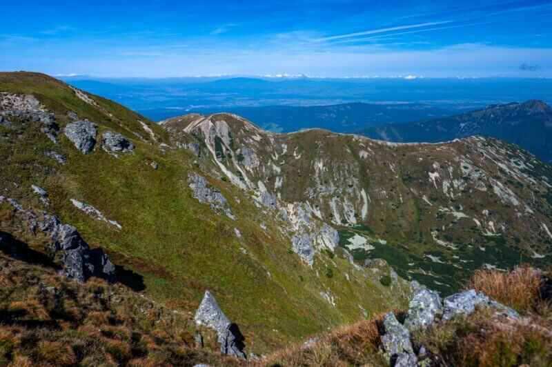 Roháče