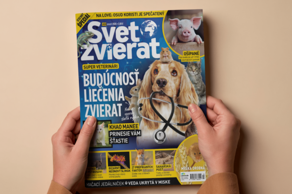 Žijeme v zlatej dobe objavovania. Čo všetko o zvieratách ešte nevieme?