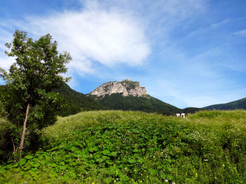 Veľký Rozsutec