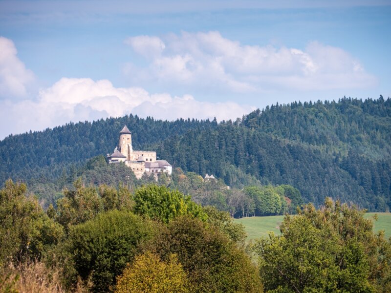 Ľubovniansky hrad
