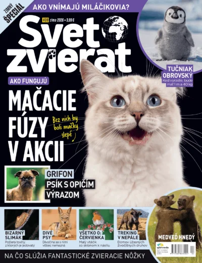 Obálka časopisu